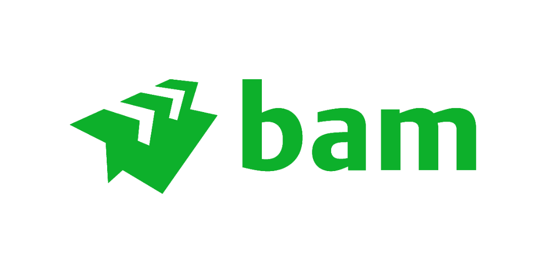 BAM.png